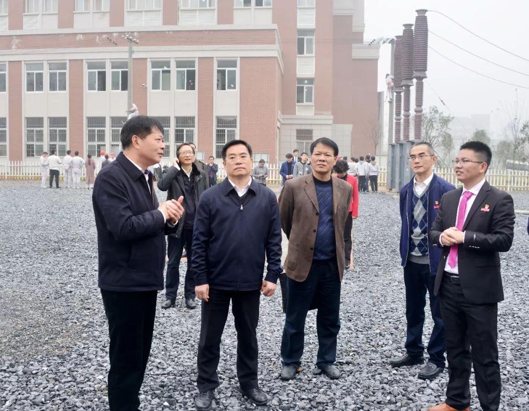 绿色福建，文化瑰宝与经济腾飞之岛