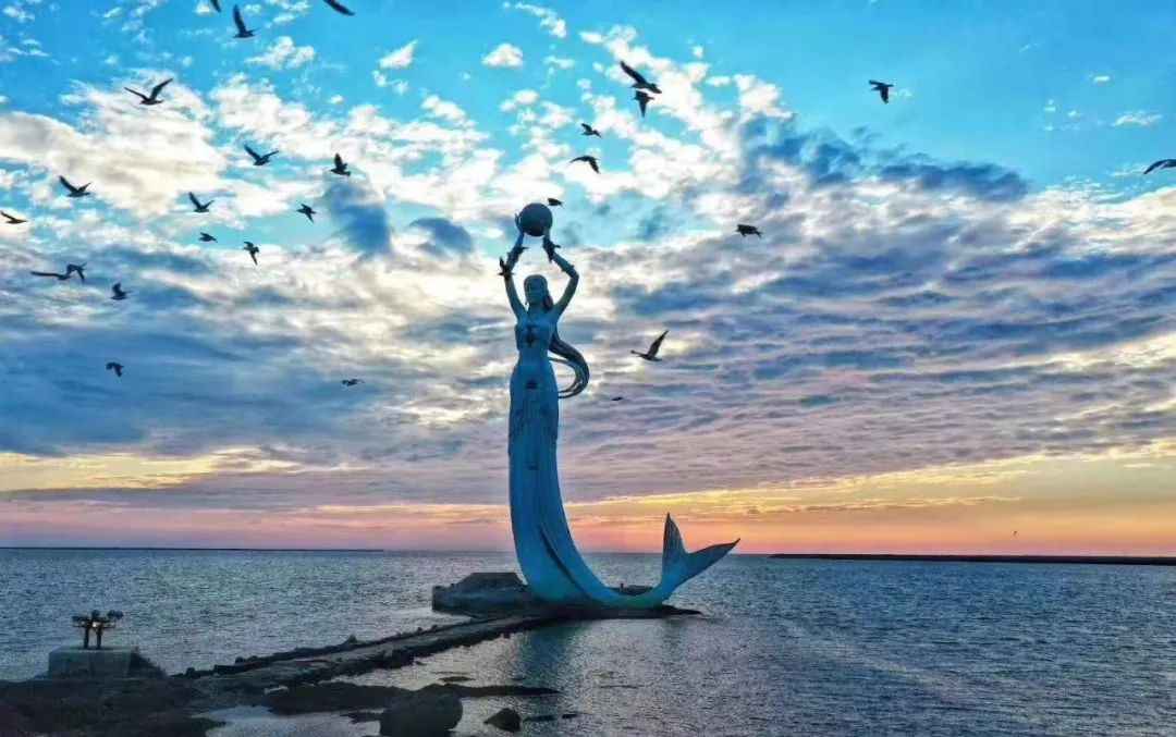 营口概览,城市风采与特色解读